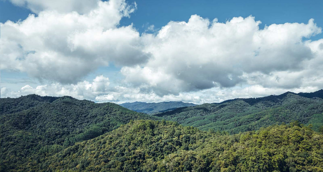 Westlake Express Family Care